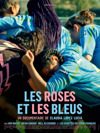 Pink, Black and Blue movie poster