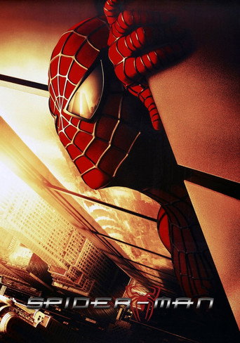 Spider-Man: The Mythology of the 21st Century movie poster
