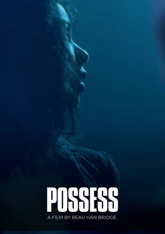 Possess movie poster