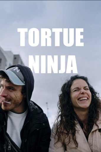 Tortue Ninja movie poster