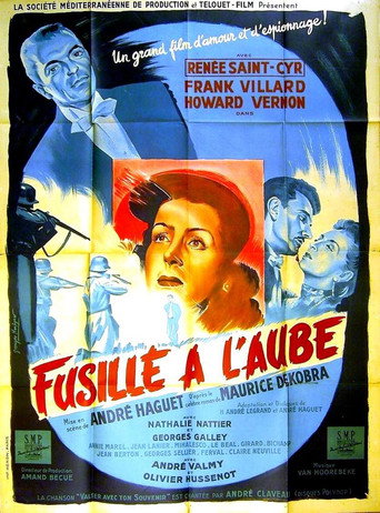 Secret Document: Vienna movie poster