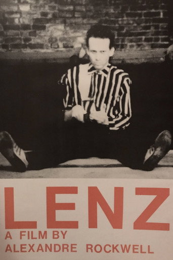 Lenz movie poster