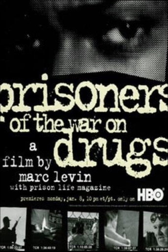 Prisoners of the War on Drugs movie poster