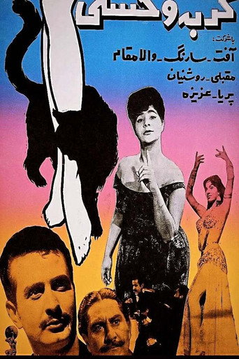 Wild Cat movie poster