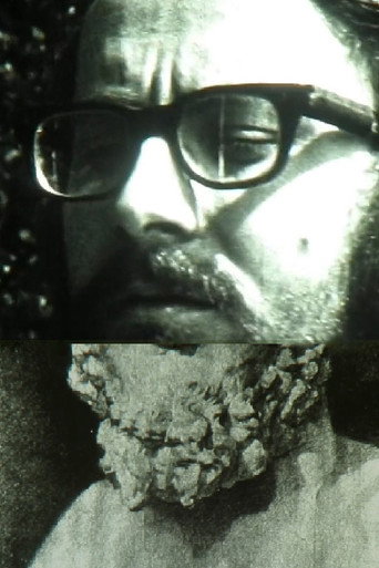 The Beard movie poster