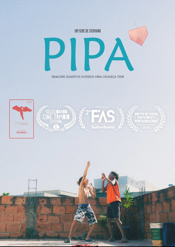 PIPA movie poster