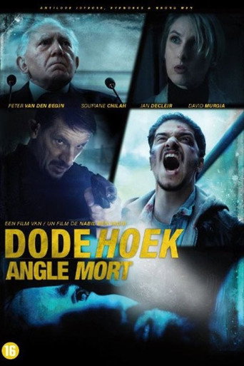 The Blind Spot movie poster