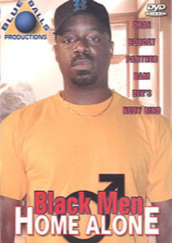 Black Men Home Alone movie poster