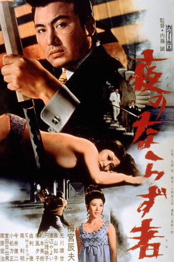 Rogue Of The Night movie poster