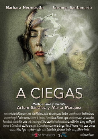 A ciegas movie poster