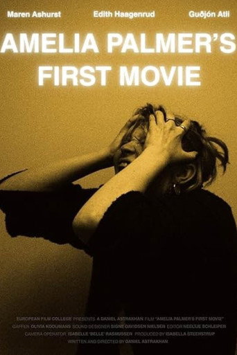 Amelia Palmer's First Movie movie poster