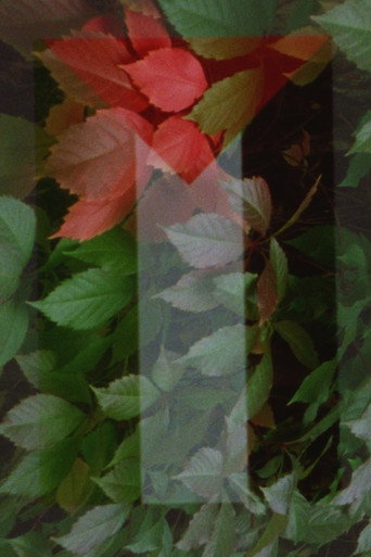 In Spite of Hell movie poster
