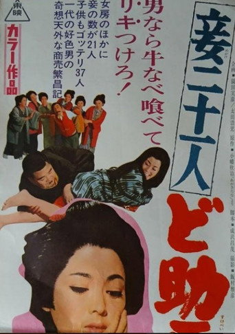 Twenty-One Concubines: The Life of a Pervert movie poster