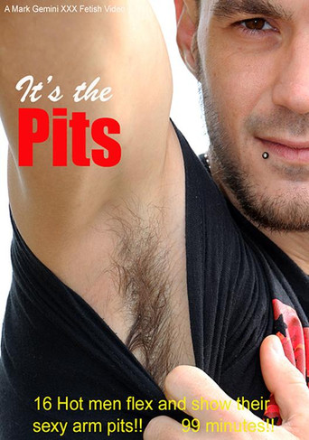 It's the Pits movie poster