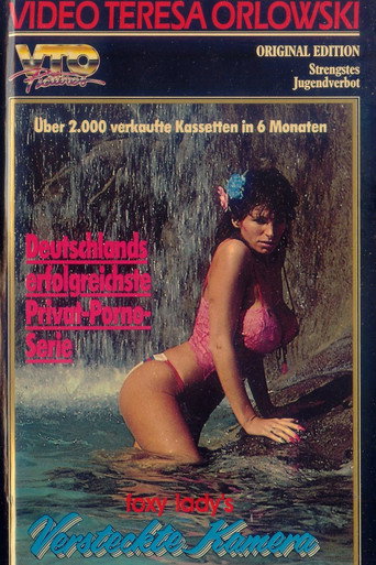 Foxy Lady's versteckte Kamera 2 movie poster