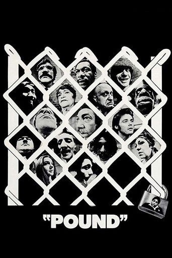 Pound movie poster