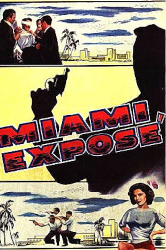 Miami Exposé movie poster