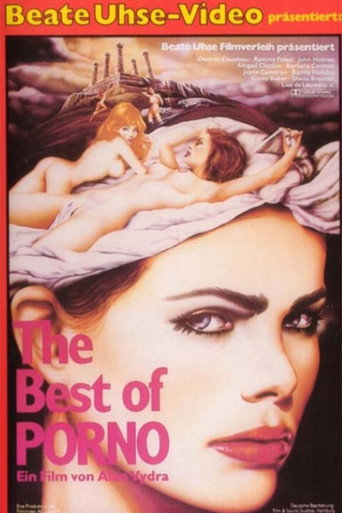 The Best of Porno movie poster