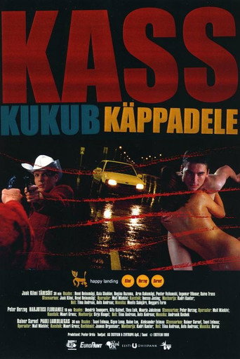 Happy Landing movie poster