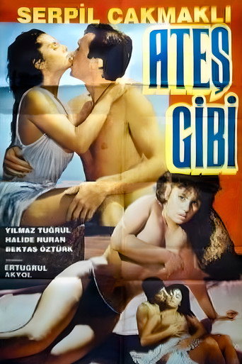 Ateş Gibi movie poster