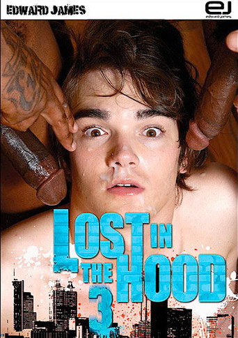 Lost in the Hood 3 movie poster