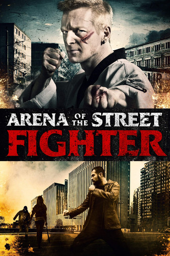 Arena of the Street Fighter movie poster
