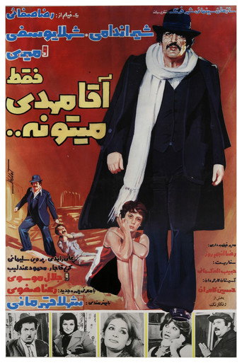 Only Mr. Mehdi Can movie poster