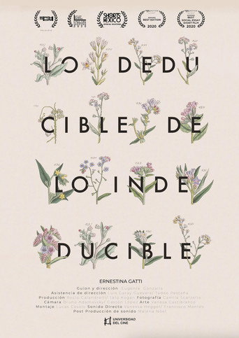 Lo deducible de lo indeducible movie poster