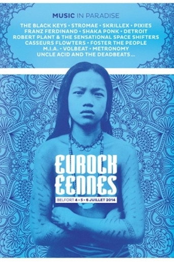 The Black Keys - Festival des Eurockéennes de Belfort 2014 movie poster