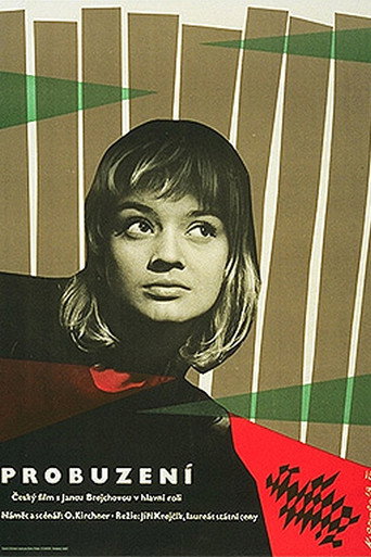 Probuzení movie poster