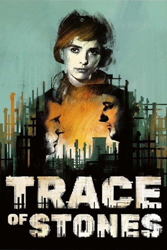 Trace of Stones movie poster