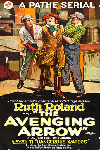 The Avenging Arrow movie poster