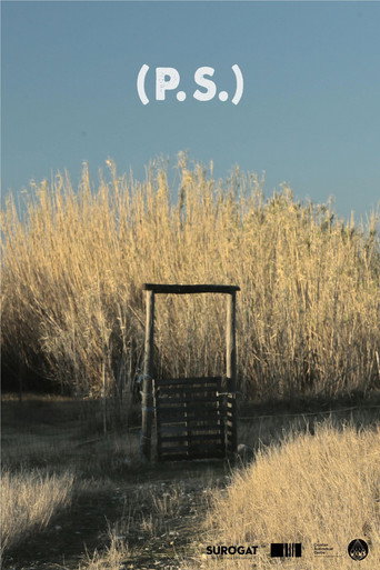 (P.S.) movie poster