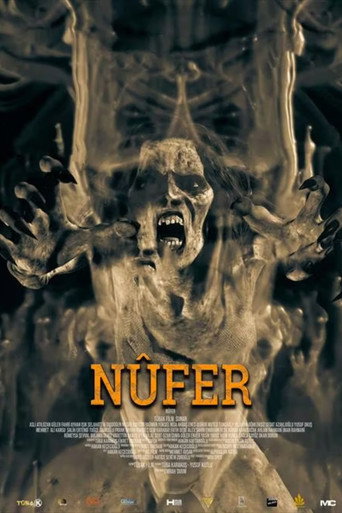 Nûfer movie poster
