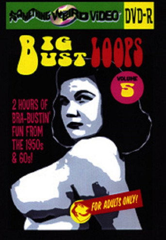 Big Bust Loops Volume 5 movie poster