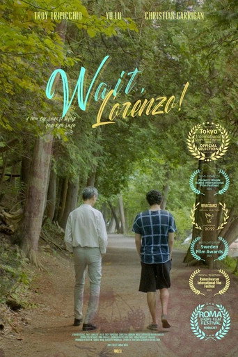 Wait, Lorenzo! movie poster