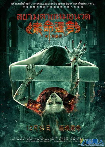 Massagist movie poster