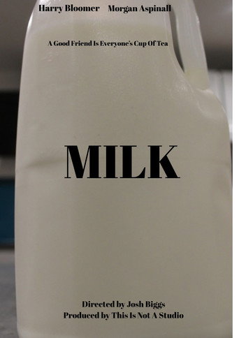 Milk movie poster