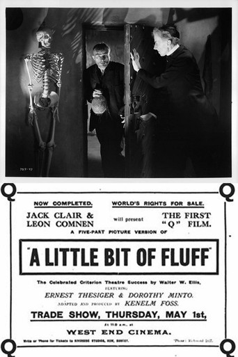 A Little Bit of Fluff movie poster