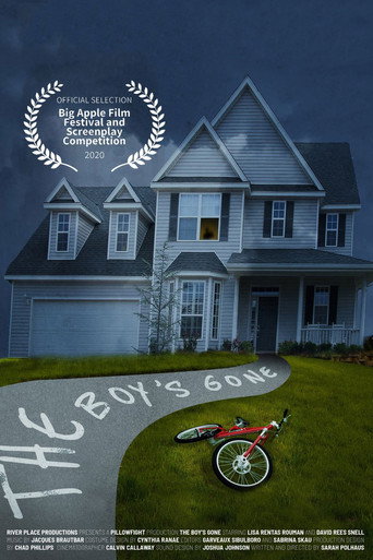 The Boy's Gone movie poster