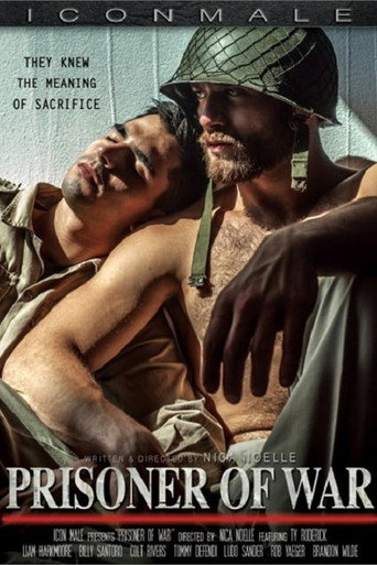 Prisoner of War movie poster