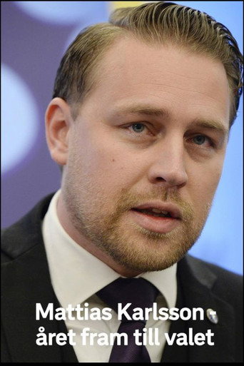 Mattias Karlsson: Året fram till valet movie poster