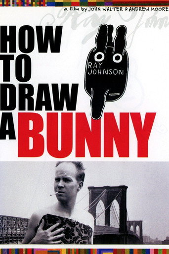 How to Draw a Bunny movie poster