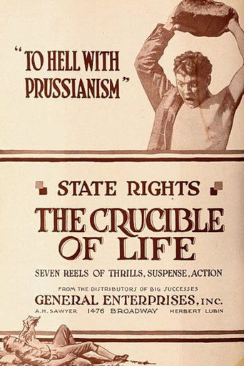The Crucible of Life movie poster