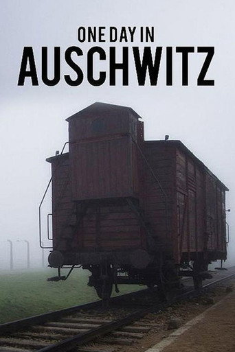 One Day in Auschwitz movie poster