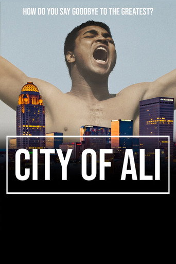 City of Ali movie poster