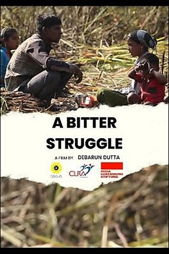 A Bitter Struggle movie poster