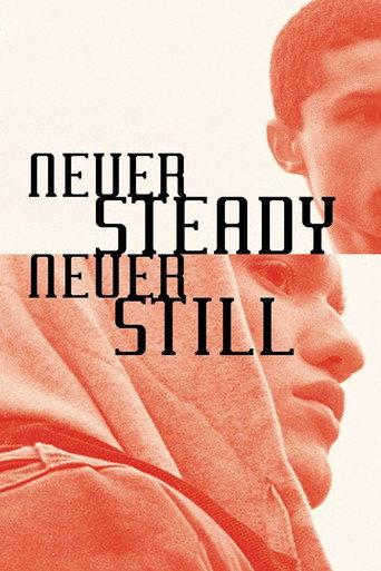 Never Steady, Never Still movie poster