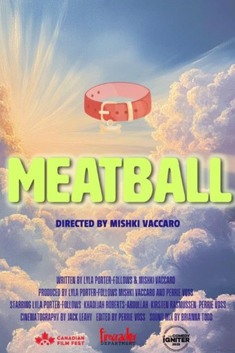 Meatball movie poster