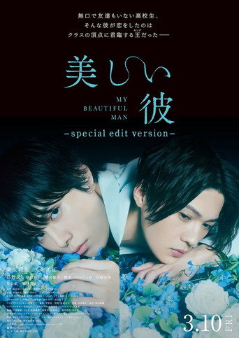 My Beautiful Man ~special edit version~ movie poster